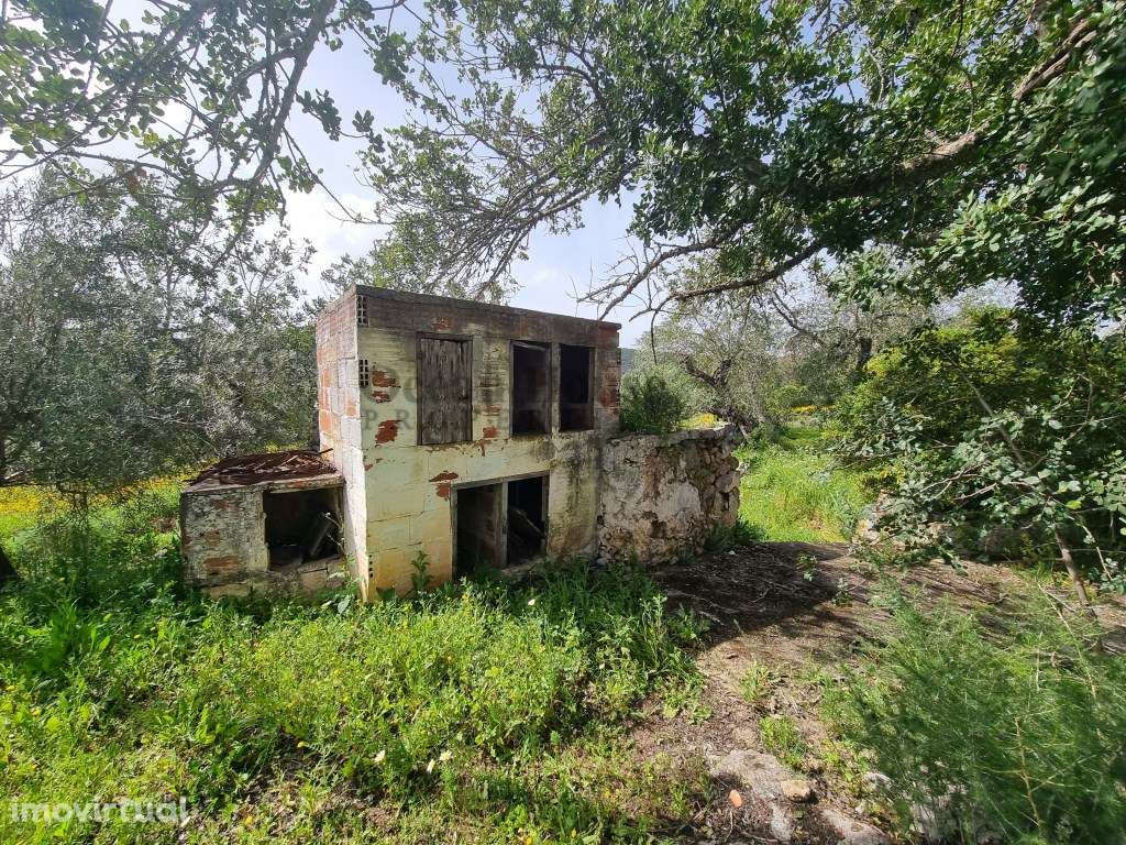Terreno com dois artigos urbanos, para construção de moradias - Loulé - Grande imagem: 3/21