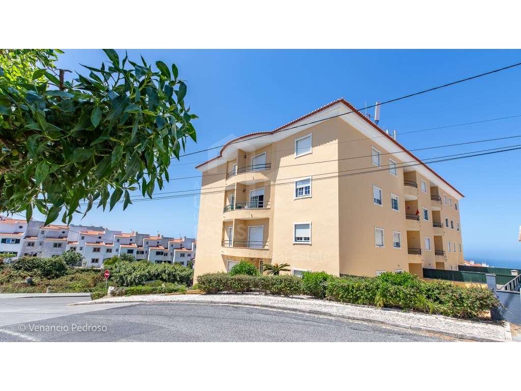 Vende Apartamento T2 - Ericeira 1.5 km, A Casa das Casas - Grande imagem: 5/16