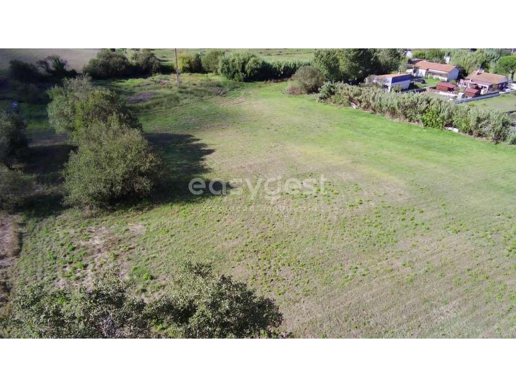 Terreno para construção perto do centro de Carvide- Monte Real - Grande imagem: 2/17