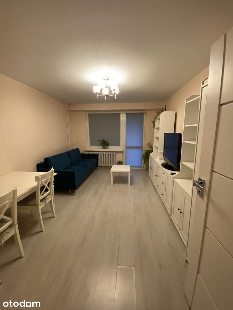 Przytulne mieszkanie do wynajęcia