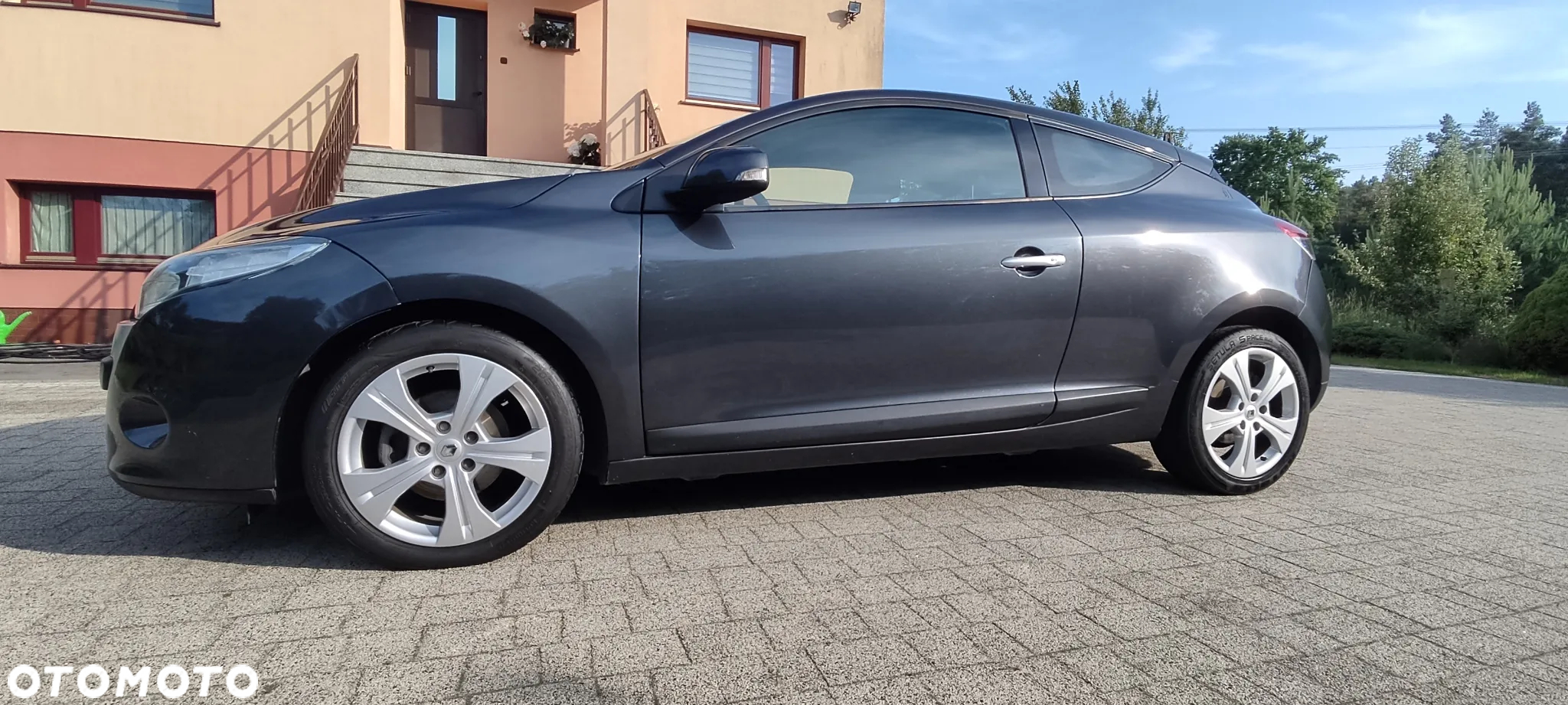 Renault Megane - 24