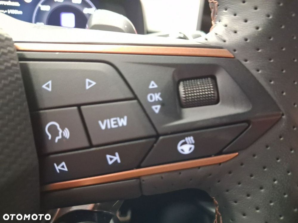 Cupra Terramar - 20