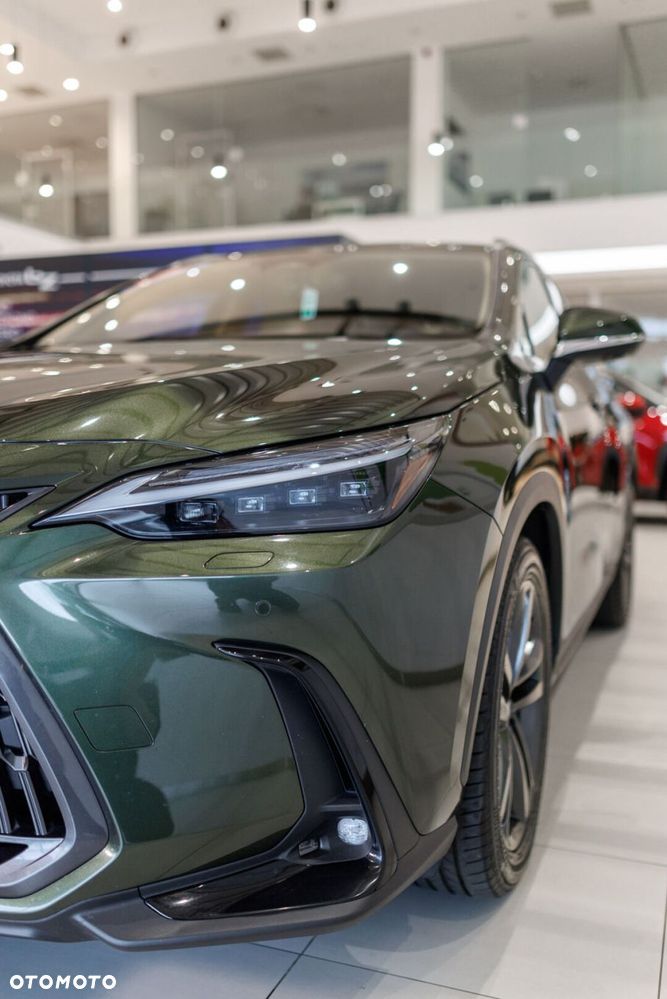 Lexus NX - 13