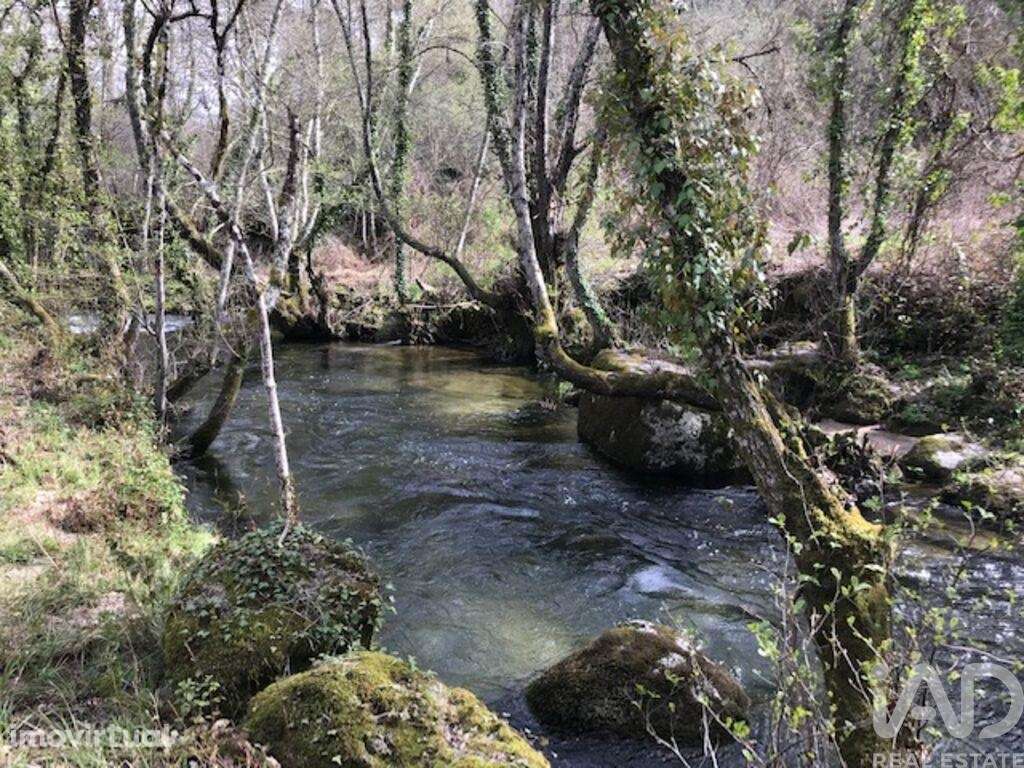 Terreno em Parada de Gonta de 100000,00 m2 - Grande imagem: 2/14