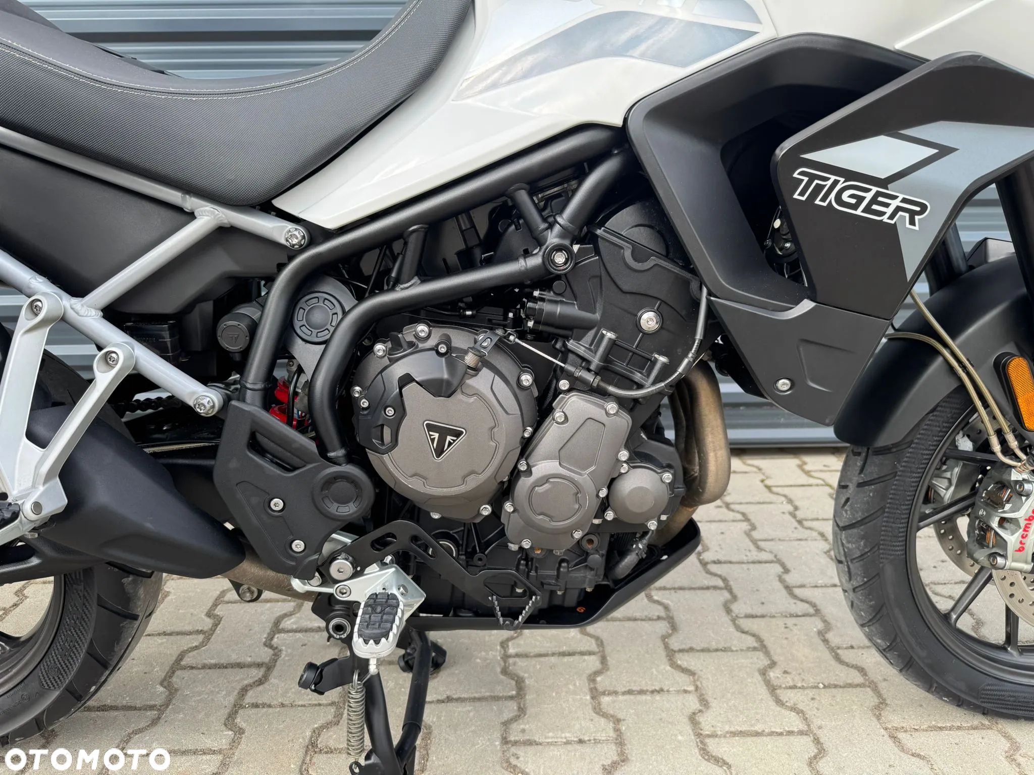 Triumph Tiger - 14