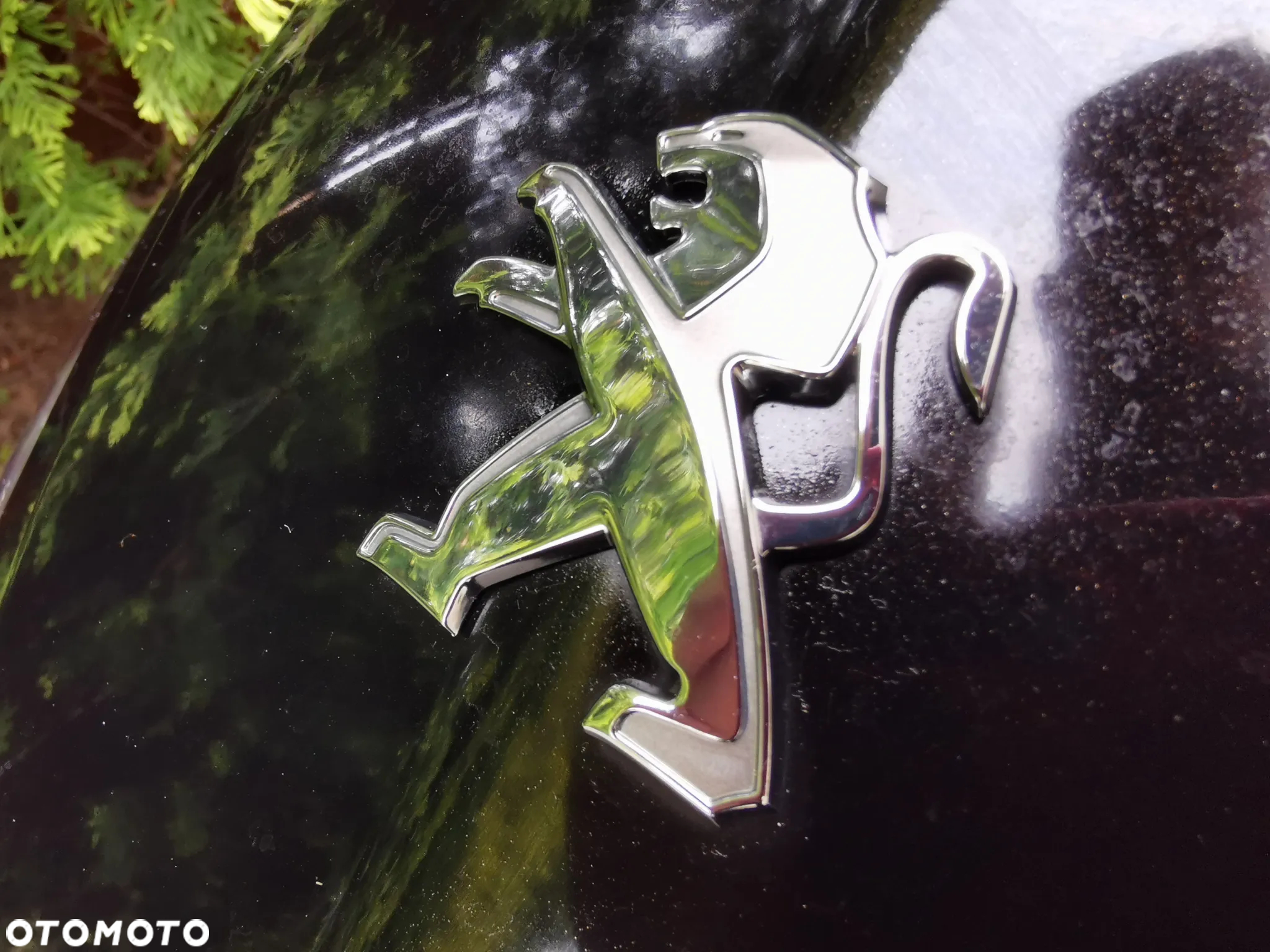 Peugeot Kisbee - 10