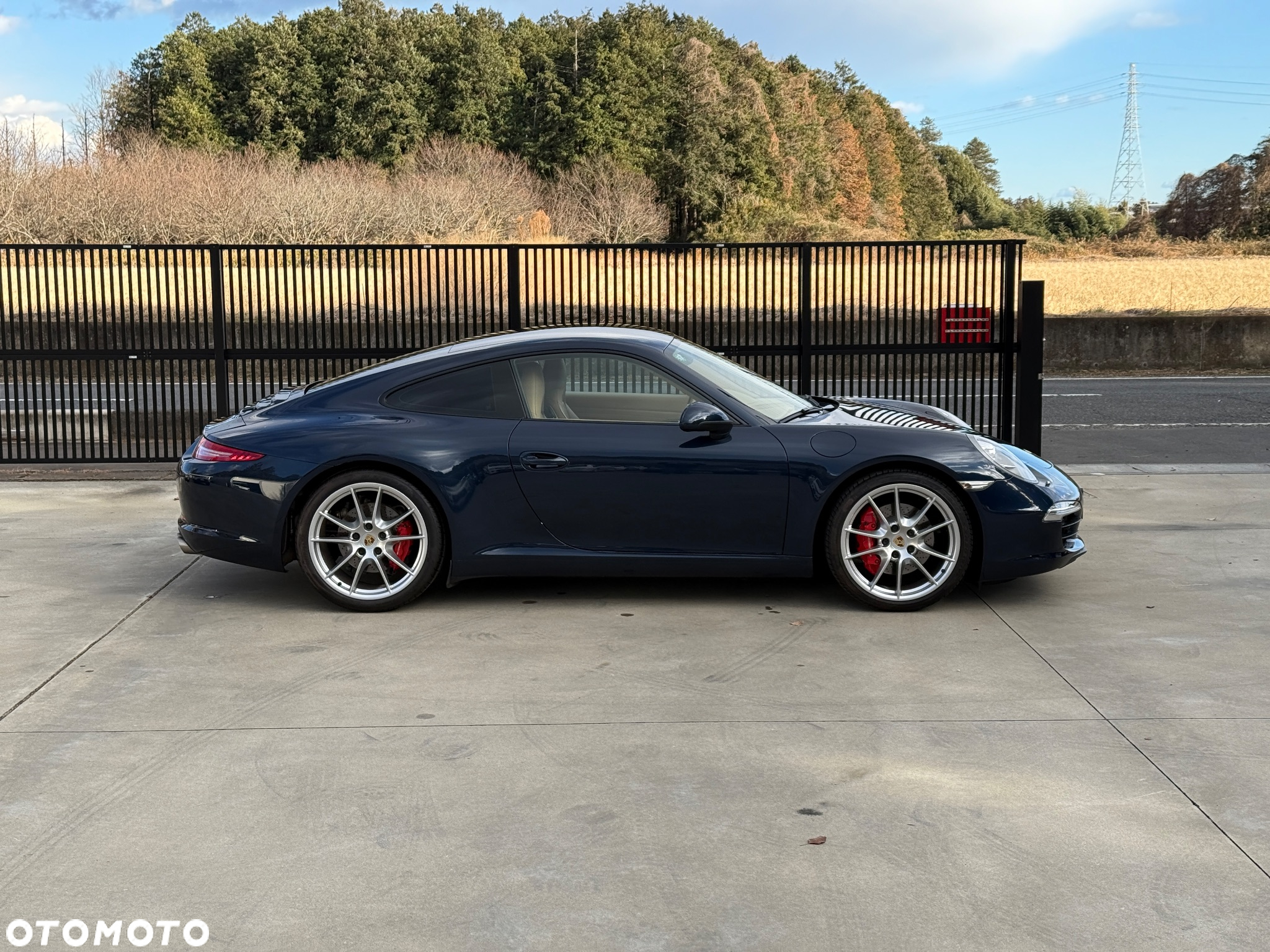 Porsche 911 Carrera S PDK - 19
