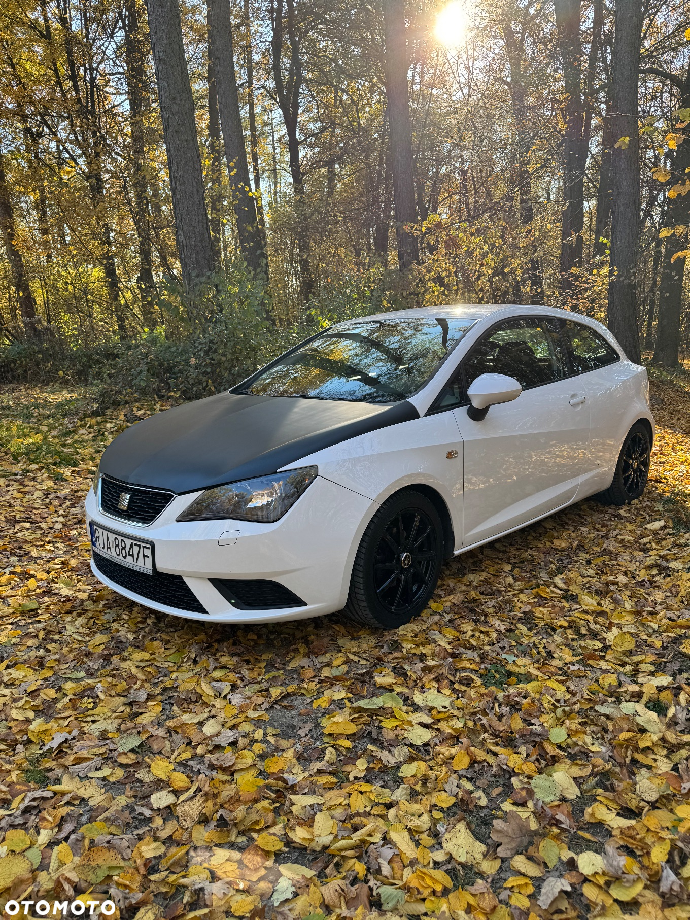 Seat Ibiza - 2