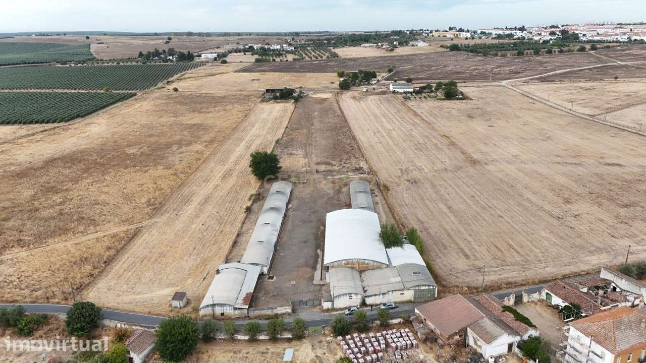 ARMAZÉNS EM BEJA 2040,150 m2 de Armazéns Diversos instalados em  7190, - Grande imagem: 4/30