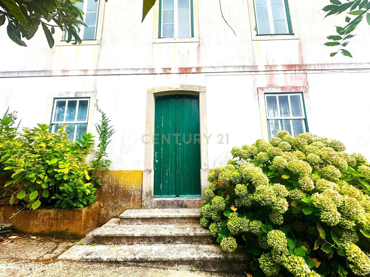 Quinta Centenária em Abadia|Cortes, Leiria - Grande imagem: 4/34