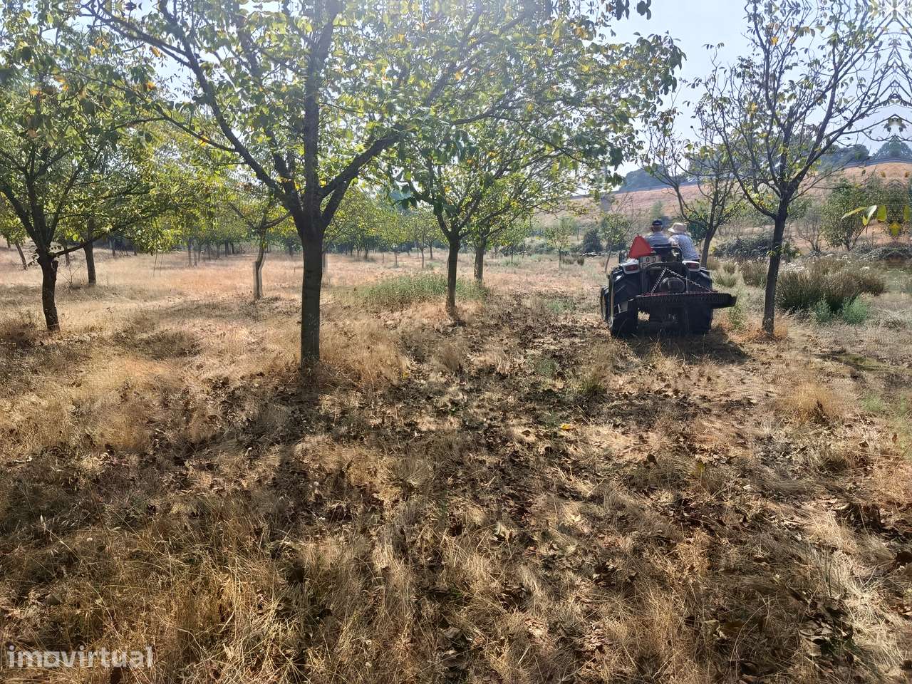 10Ha(100000m2)Terreno Agrícola DuasIgrejas água c/ maquinaria agrícola - Grande imagem: 5/10