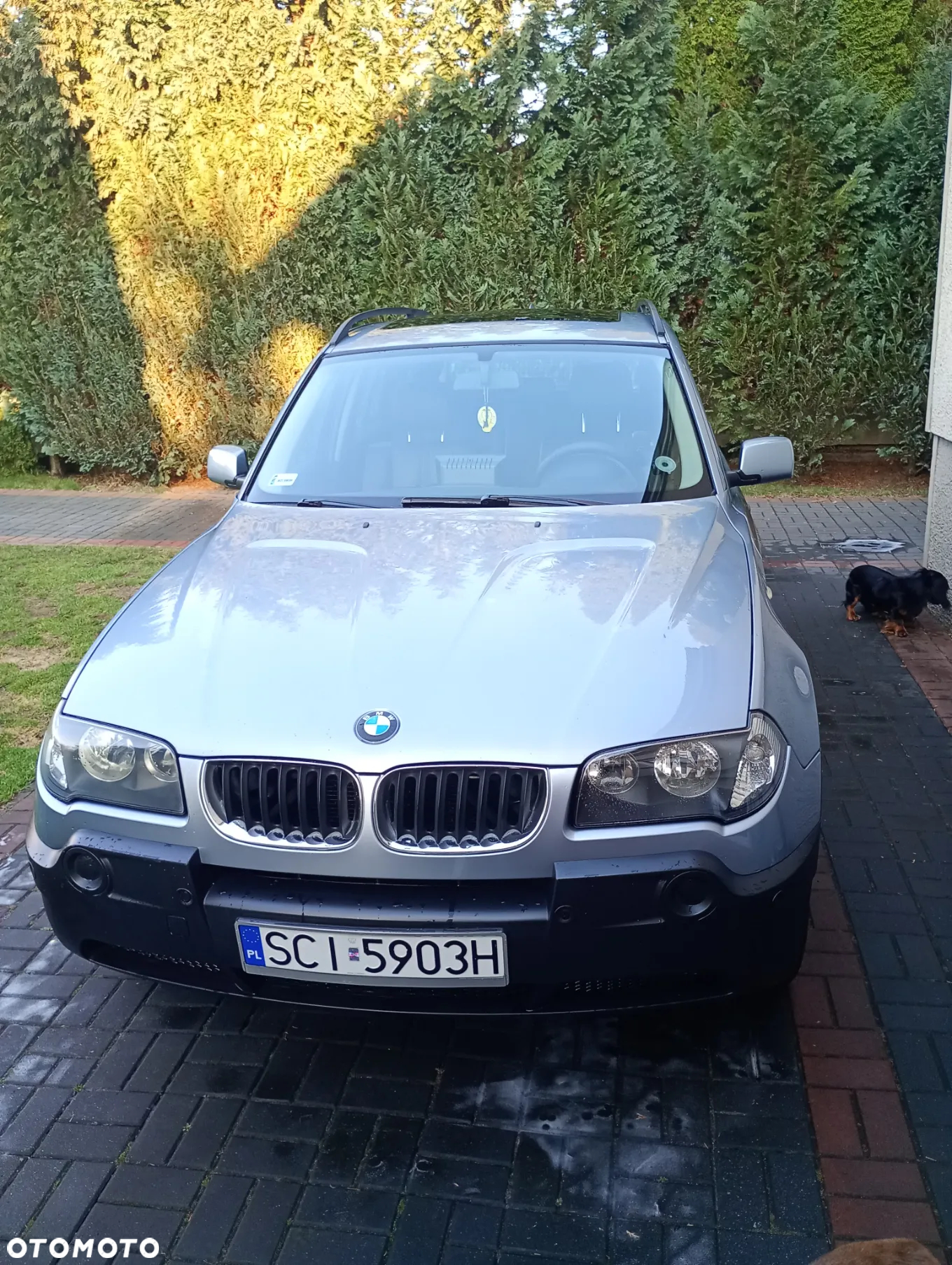 BMW X3 2.0d - 21