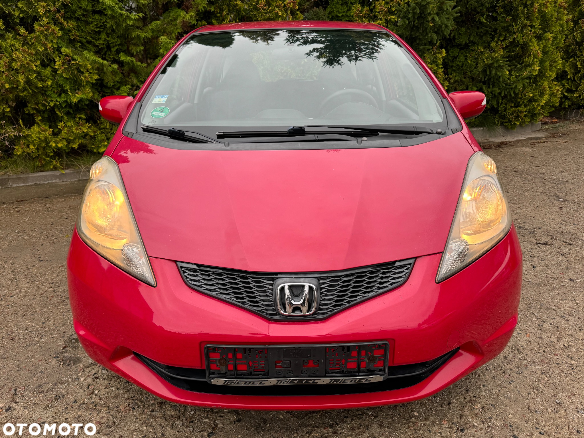 Honda Jazz 1.4 i-VTEC Elegance - 15