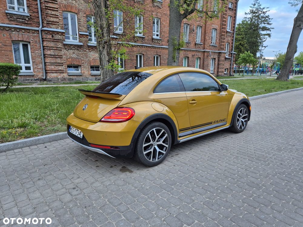 Volkswagen Beetle - 11