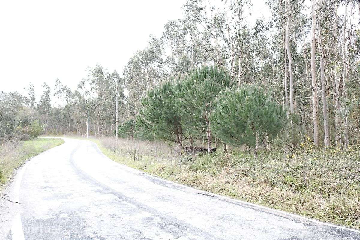 Terreno  para venda - Grande imagem: 2/4