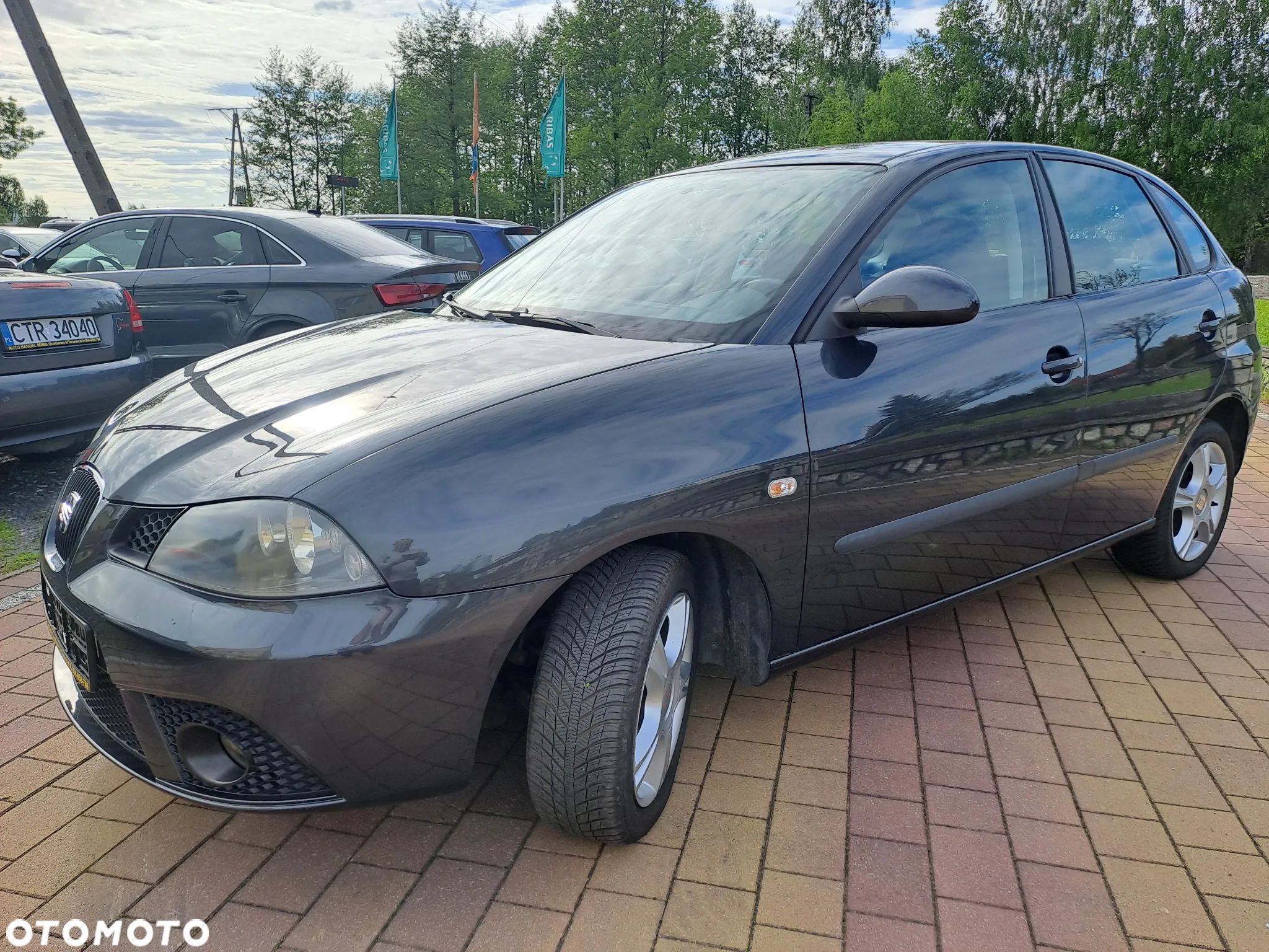 Seat Ibiza - 1