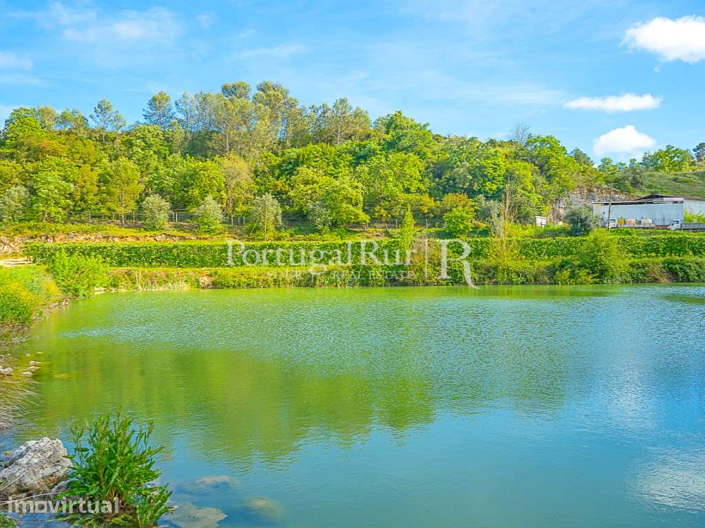 Quinta agrícola de 9,3ha com produção intensiva e totalmente equipada - Grande imagem: 3/11
