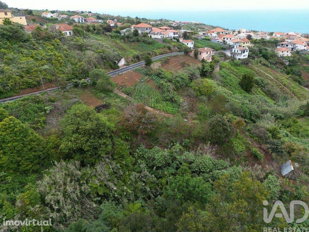 Terreno em Arco de São Jorge de 6820,00 m2 - Grande imagem: 5/11