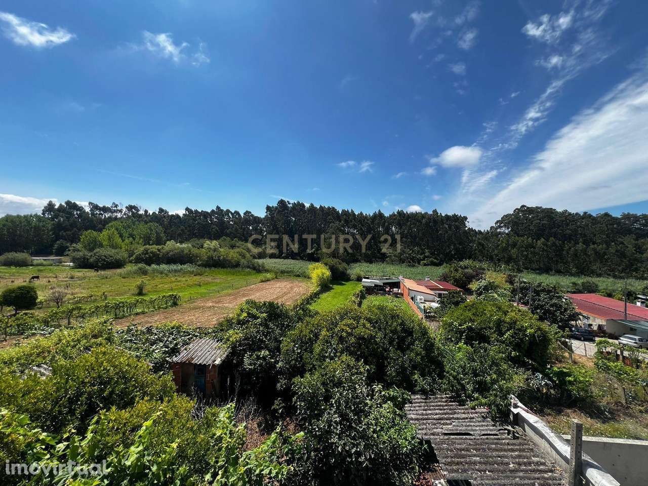 Casa Espetacular em Esgueira com Jardim e Garagem - Grande imagem: 3/34