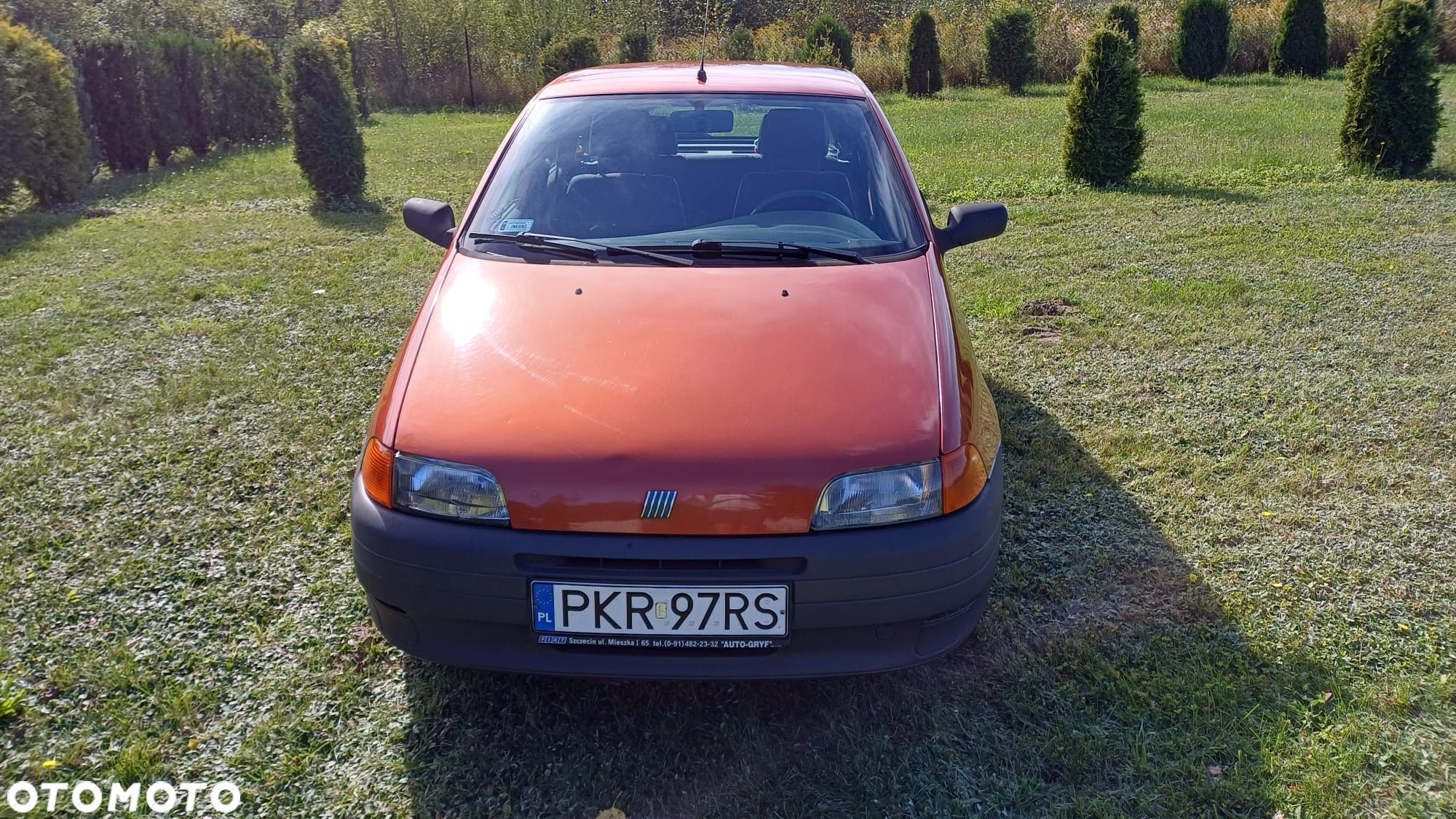 Fiat Punto - 1