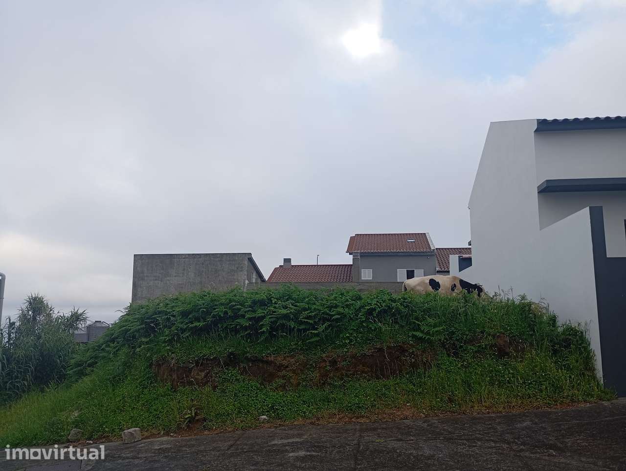 Terreno à venda - Ponta Garça - Grande imagem: 2/3