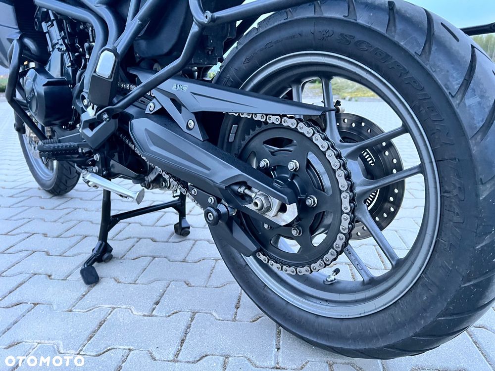 Triumph Tiger - 9