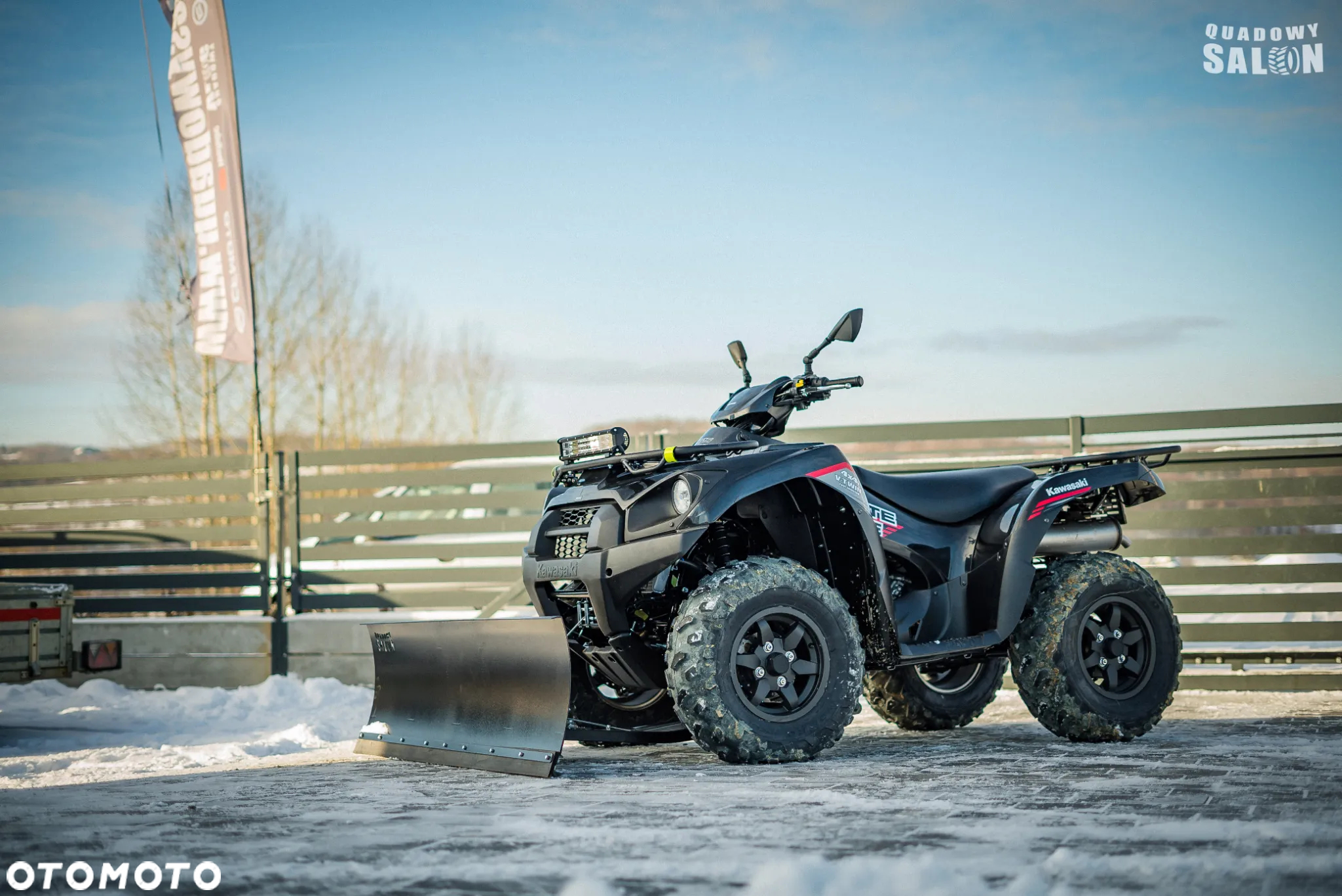 Kawasaki Brute Force - 37