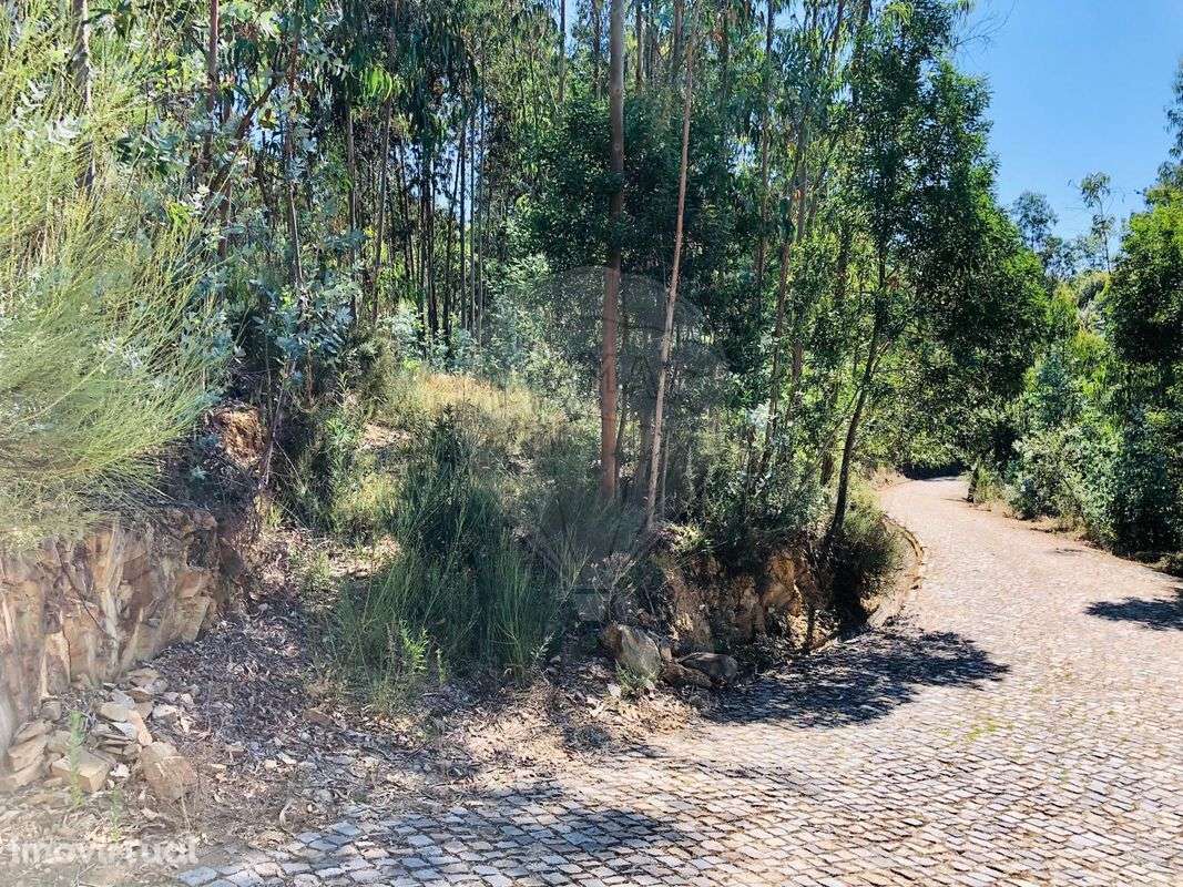 Terreno  para venda - Grande imagem: 5/6