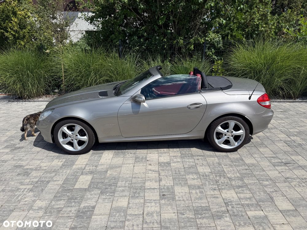 Mercedes-Benz SLK - 20