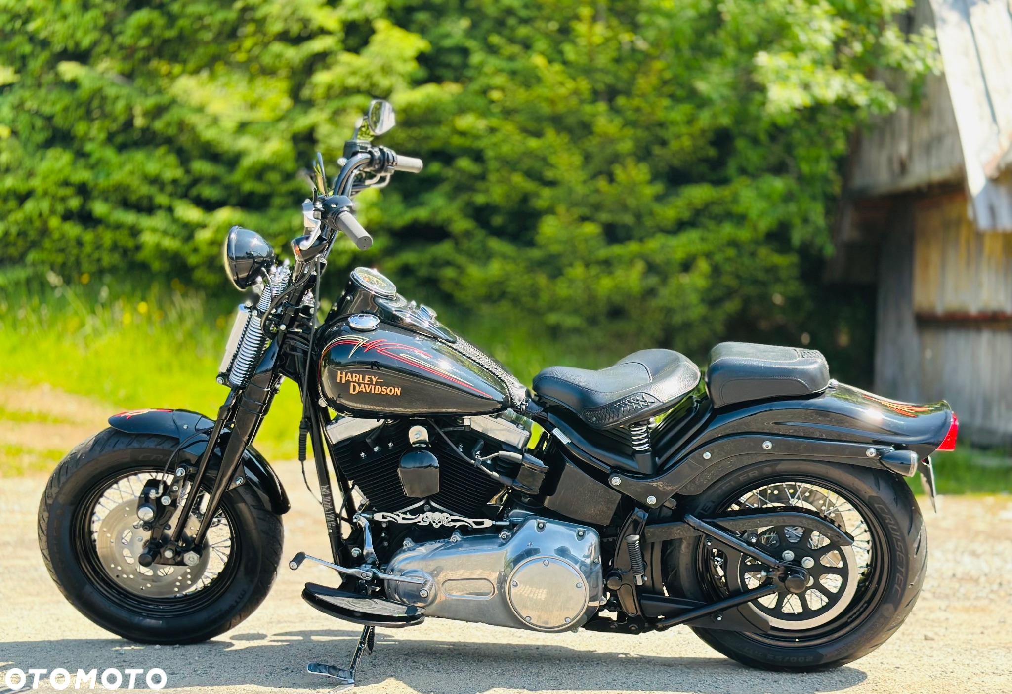 Harley-Davidson Softail Cross Bones - 14