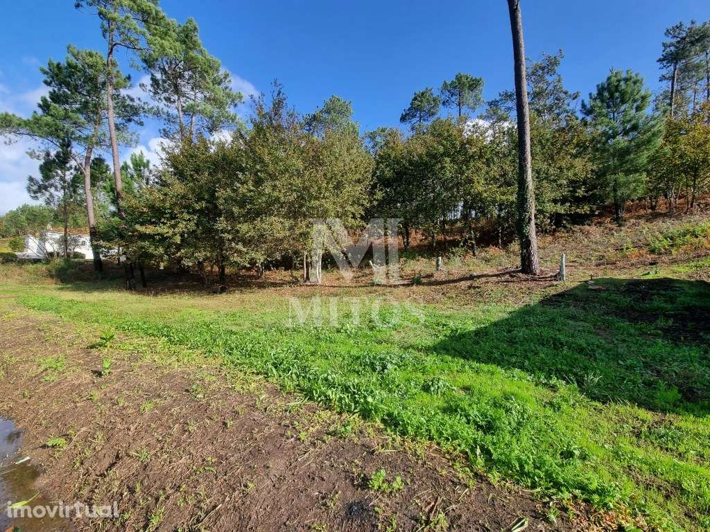 Terreno para construção - Nogueira - Grande imagem: 4/10