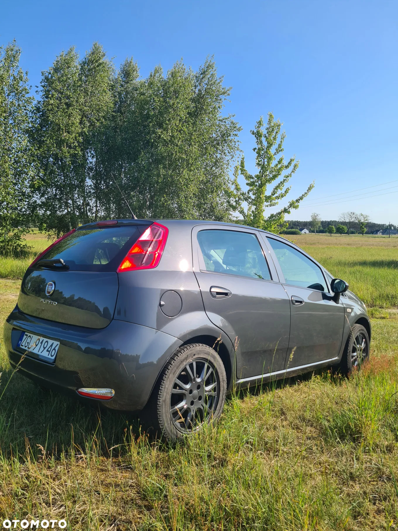 Fiat Punto - 5
