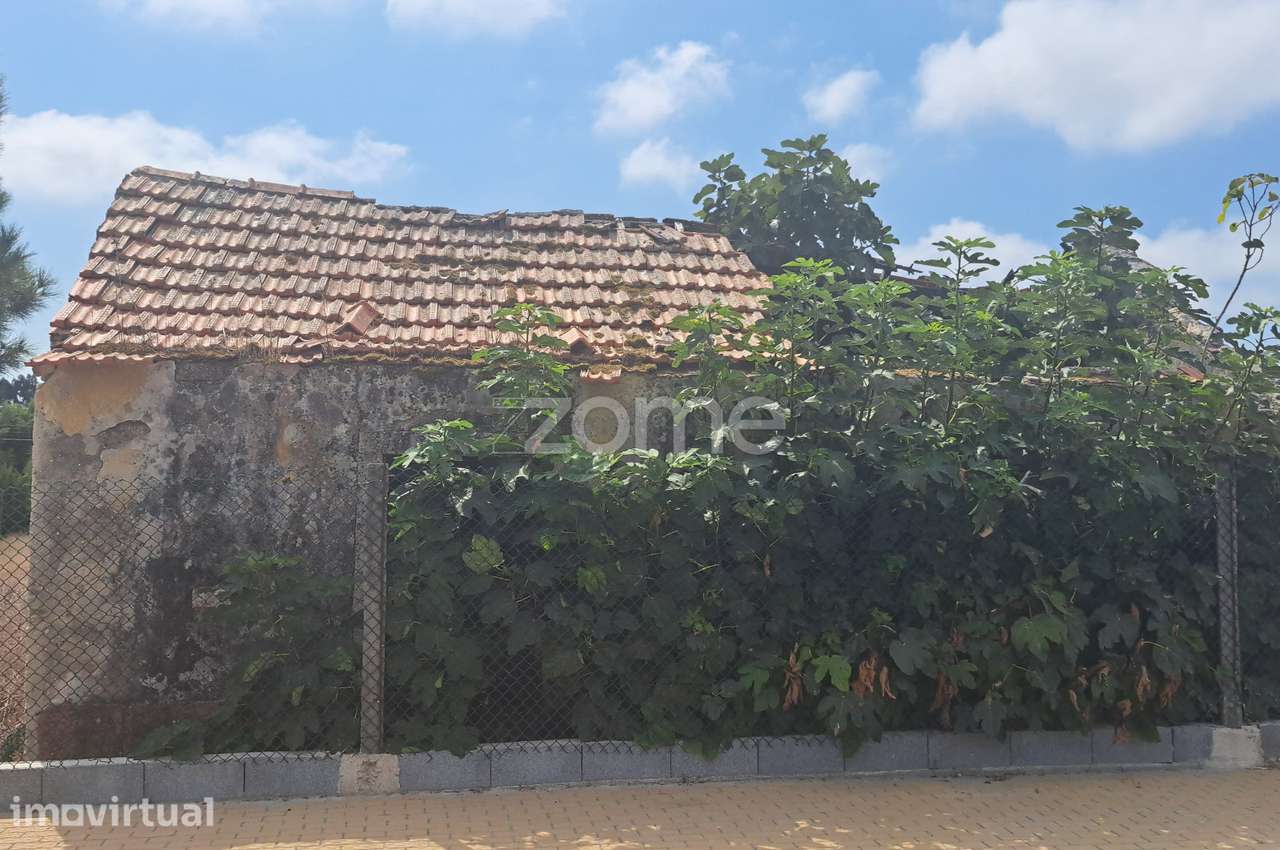 TERRENO PARA CONSTRUÇÃO CARREIROS, SANGUINHEIRA, CANTANHEDE. - Grande imagem: 5/27