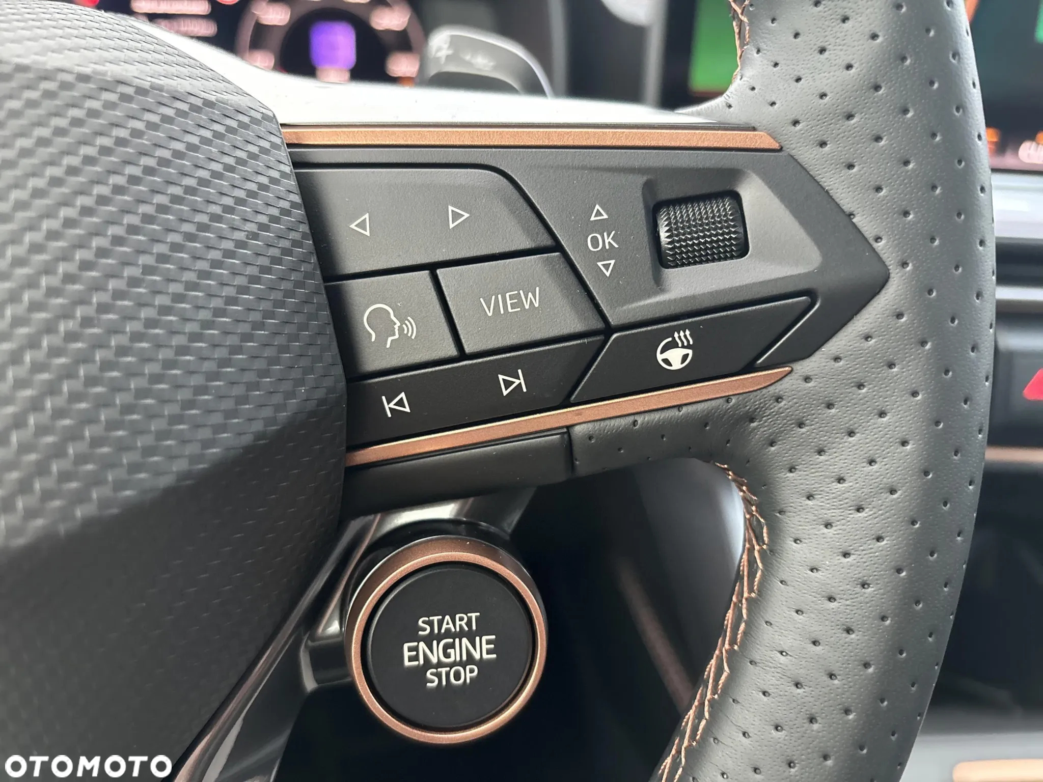 Cupra Formentor 2.0 TSI 4Drive DSG - 10