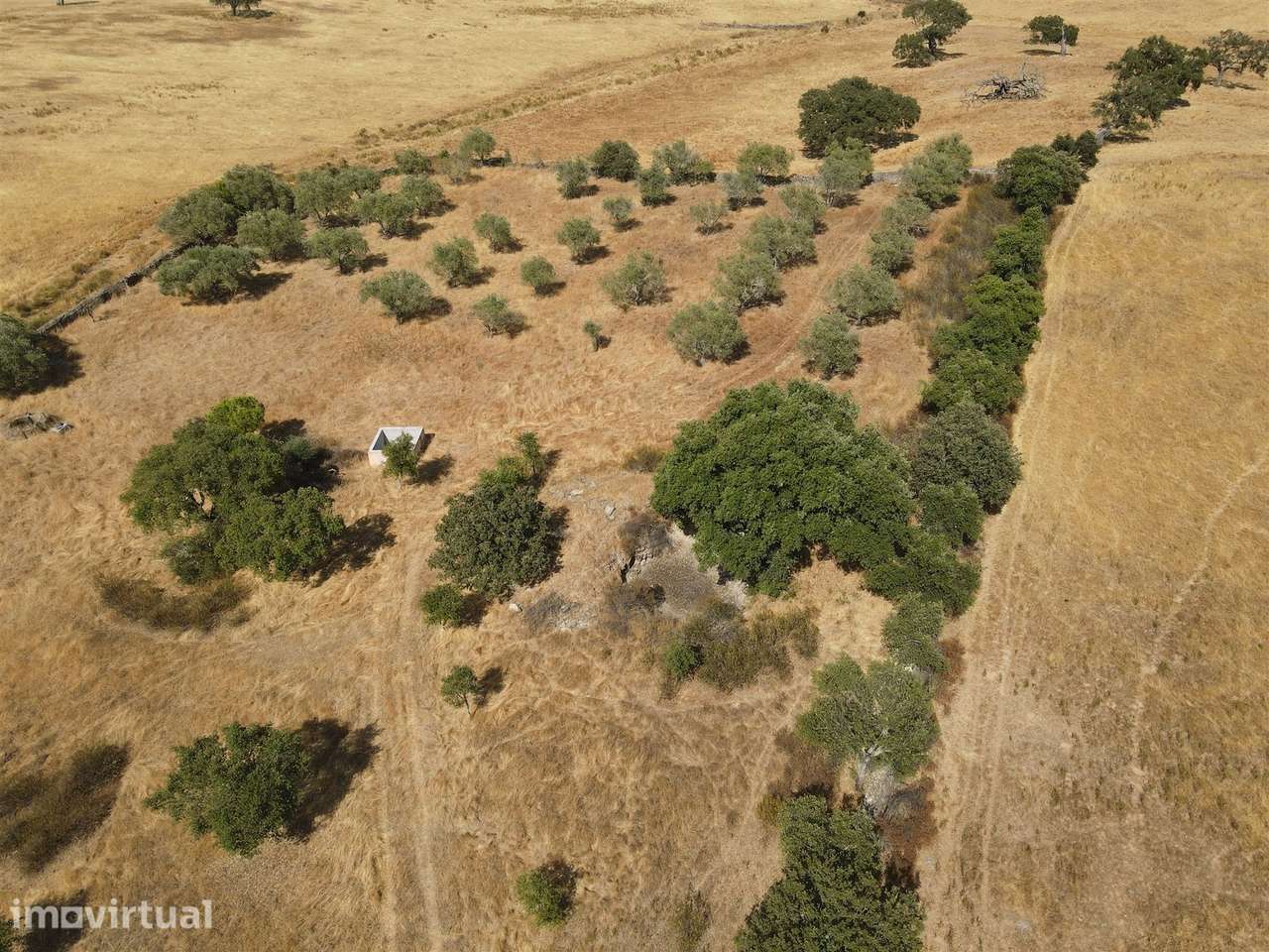 Terreno Rústico  Venda em Santa Cruz,Almodôvar - Grande imagem: 2/23
