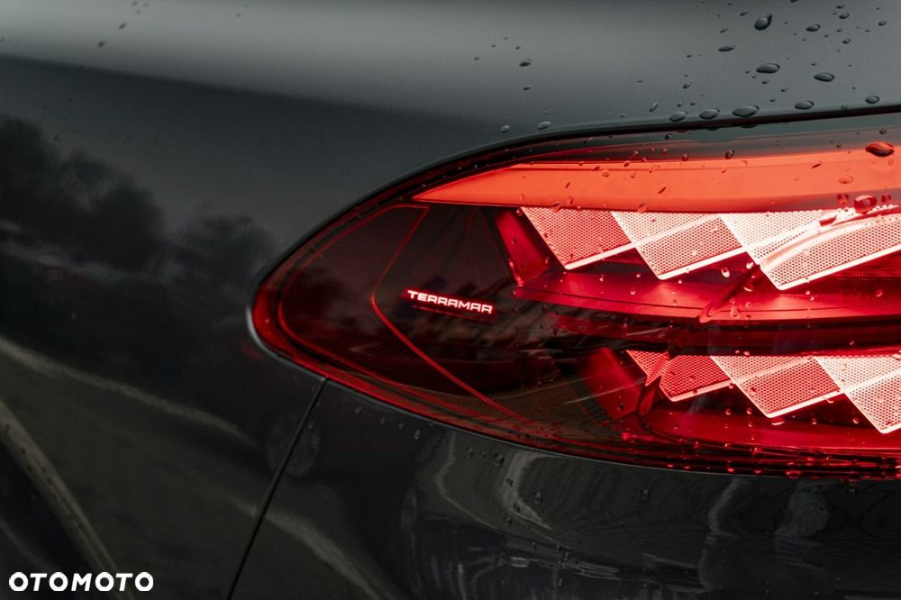 Cupra Terramar - 13