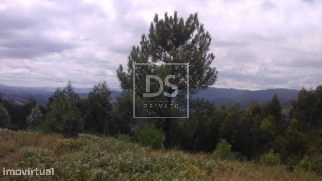 Terreno  Venda em Valdosende,Terras de Bouro - Grande imagem: 3/3
