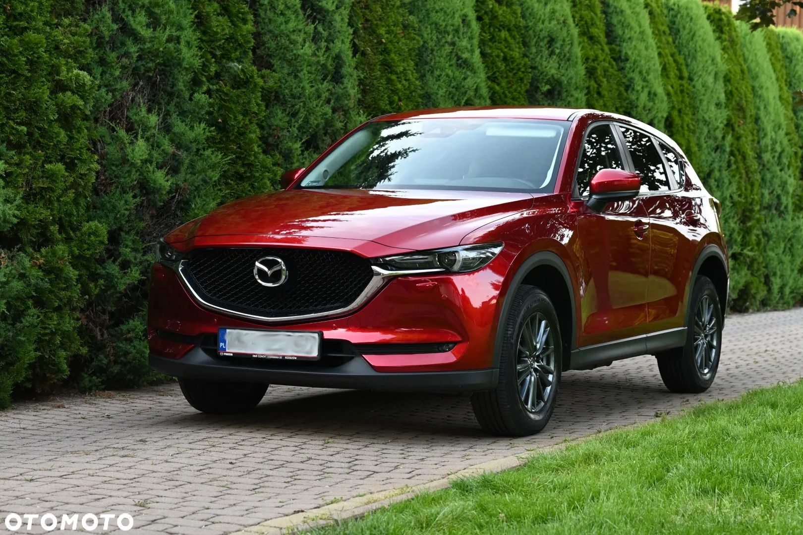 Mazda CX-5 2.0 Skyenergy AWD - 1