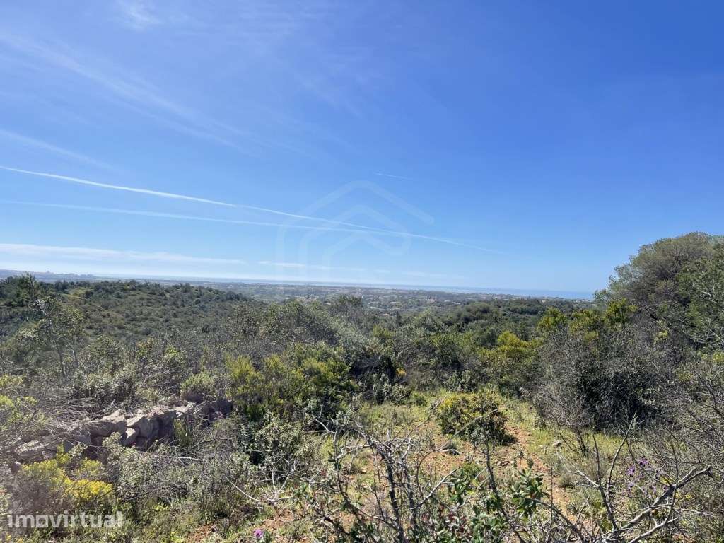 Terreno Rústico com 4840 m2 em Paderne - Albufeira, Algarve - Grande imagem: 3/7