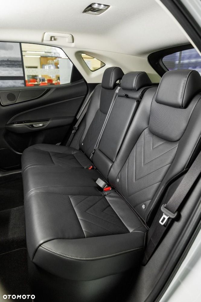 Lexus NX - 24