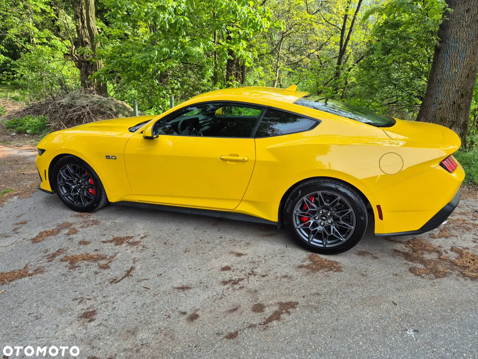 Ford Mustang Fastback 5.0 Ti-VCT V8 GT - 29