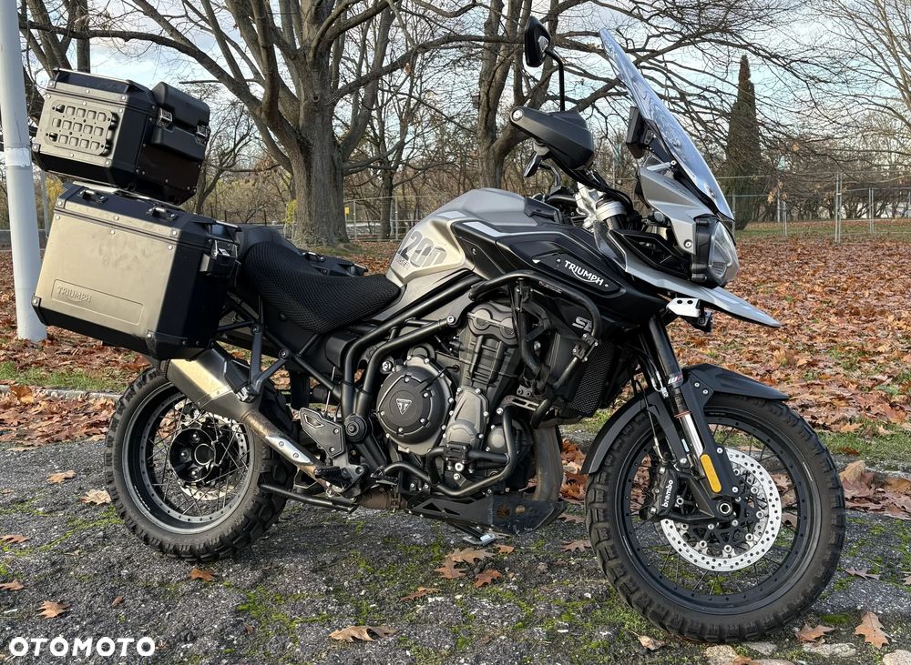 Triumph Tiger - 1
