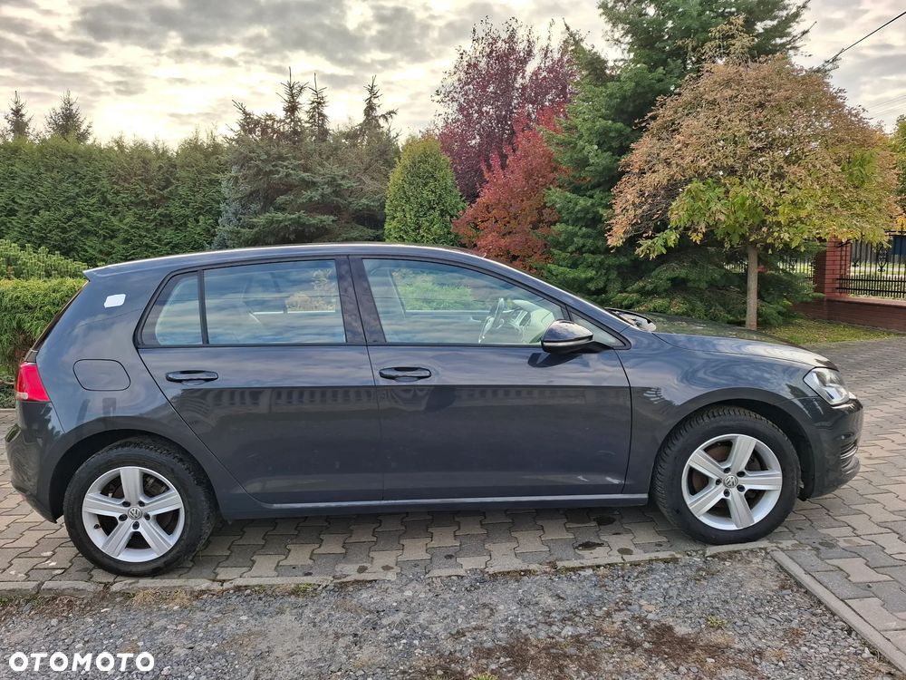 Volkswagen Golf - 8