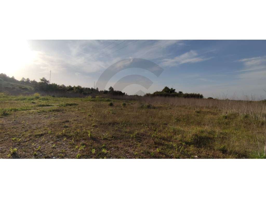 Terreno agrícola com viabilidade para projecto energético - Grande imagem: 4/10