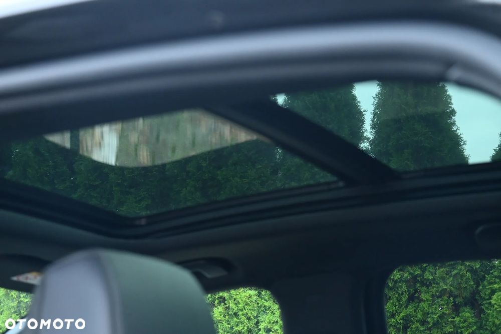 Citroën DS7 Crossback BlueHDI 180 PERFORMANCE LINE - 36