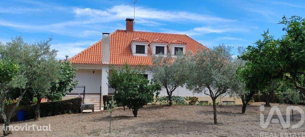 Casa / Villa T6 em Proença-a-Nova e Peral de 461,00 m2 - Grande imagem: 3/30