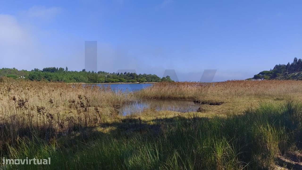 Oportunidade de Investimento em Terreno junto à Lagoa de Óbidos - Grande imagem: 3/12