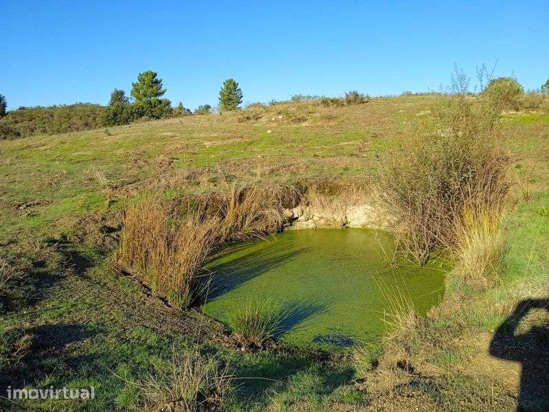 Terreno 6 hectares com barracão 50 metros quadrados - Grande imagem: 3/8