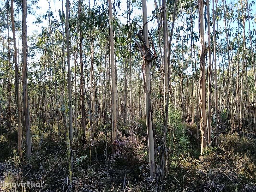 Terreno  para venda - Grande imagem: 2/3