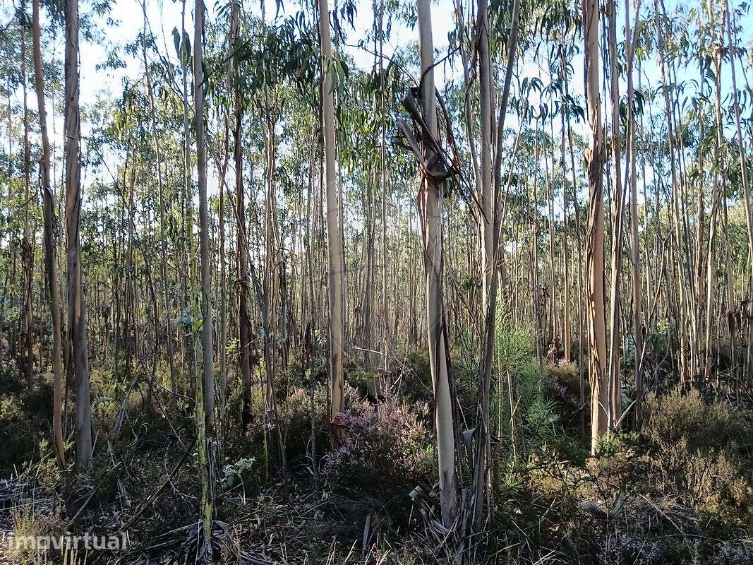 Terreno  para venda - Grande imagem: 2/3